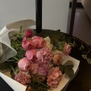 네기 | 압구정 | 장호준 셰프 네기 스키야키 디너 코스 후기 | 기념일 식사 추천