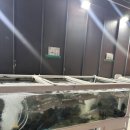 OK도매횟집 화명점 이미지