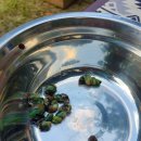 더 맑은 민박 이미지