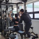 피티다움 이미지