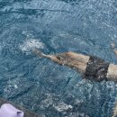 민턴민박 이미지