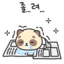 피치카페 네이버블로그
