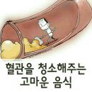 혈관을 청소해주는 고마운 음식 이미지