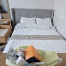 [인천 논현]와이조리원 VIP 2주 후기