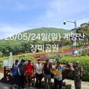 구일홍삼