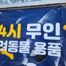 도그마캣용인
