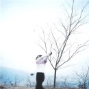 황령산주유소 이미지