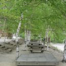 대관령자연휴양림 이미지