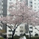 이몸이만든빵 - 구로구 중앙로15길 126 | 이몸이만든빵
