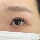 운암동속눈썹연장 잘하는 곳 로브에 클래식 연장 후기