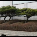 하이트 진로 전주공장 이미지