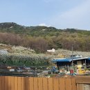 천수농장 이미지