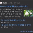 춘천원예농업협동조합 하나로마트 | [춘천] 고당도 춘천 하니원멜론(회장님 멜론) 저렴하게 구매하는 방법과 후숙 맛 후기