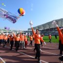 최성 태권도 이미지