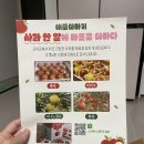 군위상큼한과일 | 임산부가 반한 군위사과 꿀부사 후기｜산지직송 제철과일 추천