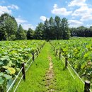 선명농장 이미지