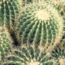 여주-0836 이미지