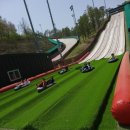 태금태권도 이미지