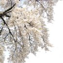 더 머물다 이미지