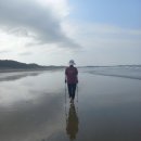 꽃향기 바다내음 | [태안가볼만한곳/태안힐링]솔향따라 걷는 힐링 워크, 하늘채 펜션에서 몽산포해수욕장까지 노르딕워킹~!