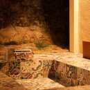 어니언 스테이 이미지