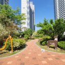 소담동_새샘907동앞 이미지