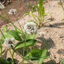 산속농원 이미지