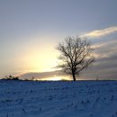 서일목장 이미지