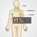 <10월 16일 > 편도와 세균처리장 이미지