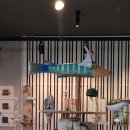 참살이협동조합 커피여행 | 카페 전시/ 익산 참살이협동조합 커피여행 전시