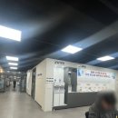한스애견 | 피크닉 집들이 음식으로 좋은 부산동의대 푸드코트 피자먹다 포장 솔직후기