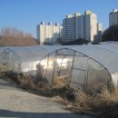 하대동207 이미지