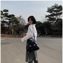 딱이야 오피스 이미지