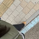 안유동교 이미지