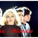 Maria -Blondie - 이미지