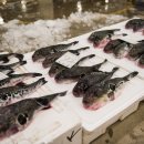 용이수산 이미지