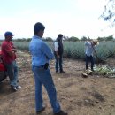 주)진농장 이미지