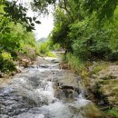 물소리새소리펜션 이미지