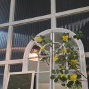 베이커리강빵 | 중앙역 카페 베이커리강빵 🥖☕️(n번째)