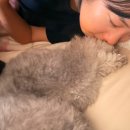 DOG IS | 10월, 뉴욕 일상: 바람이 불어오는 곳 🐶_쵸비 dog sitting, 필라테스, 끄적