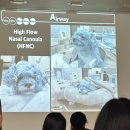 아시아방사선 | 2025 아시아 수의치과포럼 후기 - 최신 수의치과 트렌드 따라가기