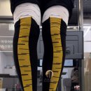 초콜릿부동산중개 이미지