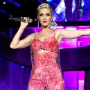 PeTer Gym Studio 이미지