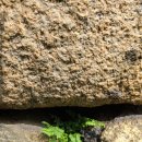 성중부동산공인중개사사무소 이미지