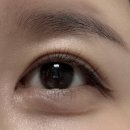 모이세슈퍼 | [데자뷰] 워터프루프 올리브영아이라이너 추천