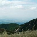 화왕산약국 이미지