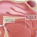 미라클사운드