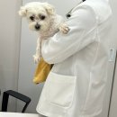 김포보듬동물의료센터 이미지