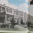 송풍초,용담중 이미지