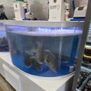 중앙할인마트 이미지